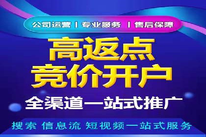 百度SEO推广公司案例解析：实战优化技巧全解读